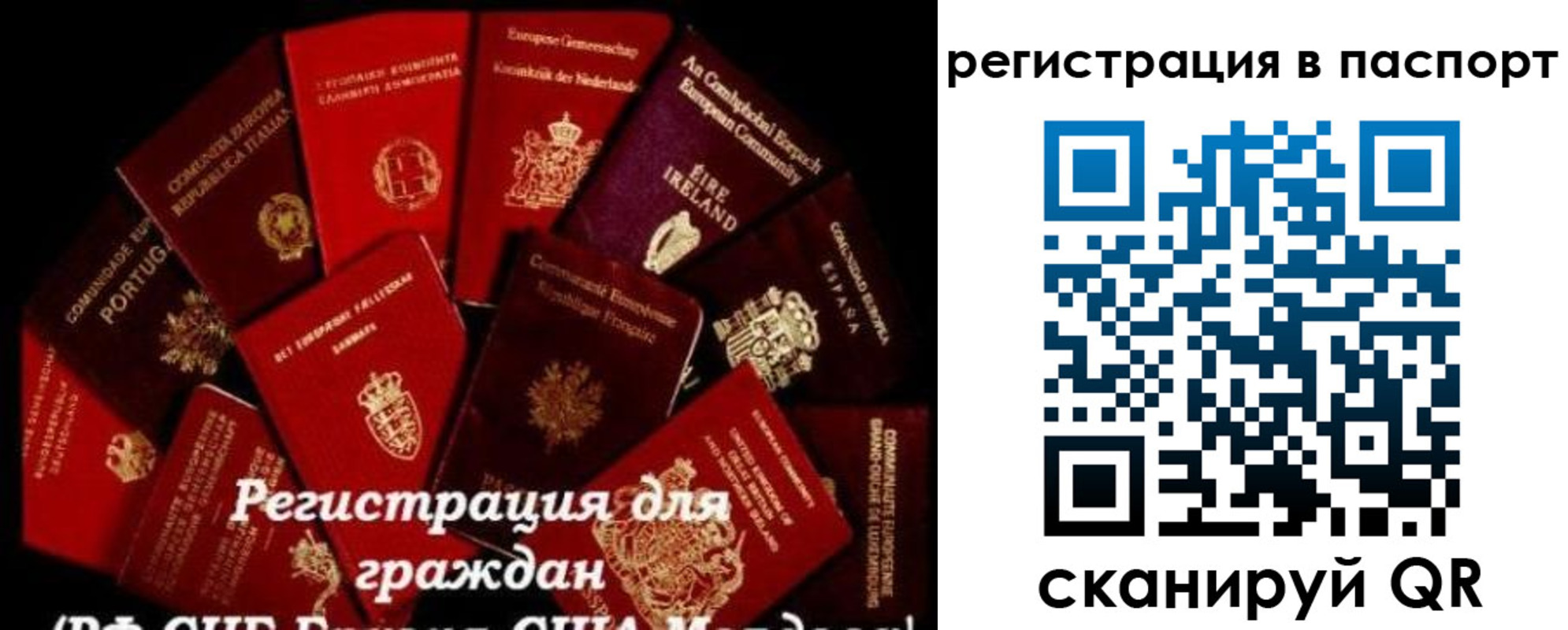 миграционный учет в Кировске